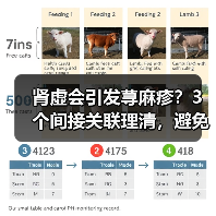 肾虚会引发荨麻疹?3个间接关联理清,避免盲目调理(图3) 肾虚会引发荨麻疹?3个间接关联理清,避免盲目调理(图3)