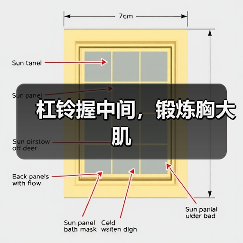 杠铃握中间，锻炼胸大肌（图3）