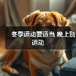 冬季运动要适当 晚上别运动(图3) 冬季运动要适当 晚上别运动(图3)