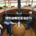 缓解腰痛的最佳动作(图3) 缓解腰痛的最佳动作(图3)