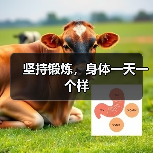 坚持锻炼,身体一天一个样(图2) 坚持锻炼,身体一天一个样(图2)