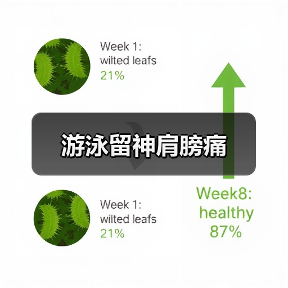 游泳留神肩膀痛(图1) 游泳留神肩膀痛(图1)