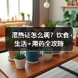 湿热证怎么调?饮食+生活+用药全攻略(图4) 湿热证怎么调?饮食+生活+用药全攻略(图4)