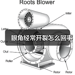 眼角经常开裂怎么回事(图2) 眼角经常开裂怎么回事(图2)