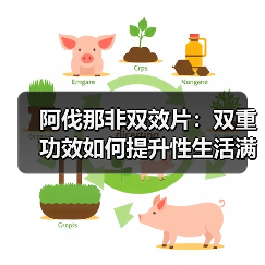 阿伐那非双效片:双重功效如何提升性生活满意度?(图1) 阿伐那非双效片:双重功效如何提升性生活满意度?(图1)
