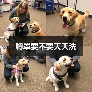 胸罩要不要天天洗（图2）