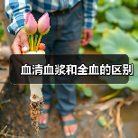 血清血浆和全血的区别(图2) 血清血浆和全血的区别(图2)