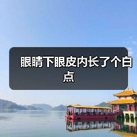 眼睛下眼皮内长了个白点(图3) 眼睛下眼皮内长了个白点(图3)