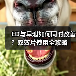 ED与早泄如何同时改善?双效片使用全攻略(图1) ED与早泄如何同时改善?双效片使用全攻略(图1)