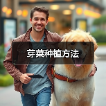芽菜种植方法(图2) 芽菜种植方法(图2)