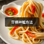芽菜种植方法(图3) 芽菜种植方法(图3)