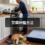 芽菜种植方法(图4) 芽菜种植方法(图4)