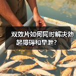 双效片如何同时解决勃起障碍和早泄?(图3) 双效片如何同时解决勃起障碍和早泄?(图3)