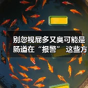 别忽视屁多又臭可能是肠道在“报警” 这些方法帮你解决(图3) 别忽视屁多又臭可能是肠道在“报警” 这些方法帮你解决(图3)
