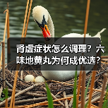 肾虚症状怎么调理?六味地黄丸为何成优选?(图1) 肾虚症状怎么调理?六味地黄丸为何成优选?(图1)