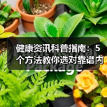 健康资讯科普指南：5个方法教你选对靠谱内容，实用收藏（图1）