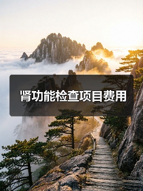 肾功能检查项目费用(图3) 肾功能检查项目费用(图3)