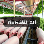 看舌头应挂什么科(图3) 看舌头应挂什么科(图3)