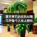 夏天常见的皮肤问题,几乎每个人身上都有,苦恼又很尴尬(图2) 夏天常见的皮肤问题,几乎每个人身上都有,苦恼又很尴尬(图2)