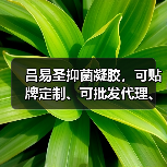 吕易圣抑菌凝胶,可贴牌定制、可批发代理、全国火爆招商中!(图1) 吕易圣抑菌凝胶,可贴牌定制、可批发代理、全国火爆招商中!(图1)
