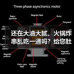 还在大油大腻、火锅炸串乱吃一通吗?给您肚子上的游泳圈脱下来吧,吕易圣袋泡茶 OEM贴牌定制 批发代理 全国火爆招商中!(图4) 还在大油大腻、火锅炸串乱吃一通吗?给您肚子上的游泳圈脱下来吧,吕易圣袋泡茶 OEM贴牌定制 批发代理 全国火爆招商中!(图4)