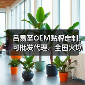 吕易圣OEM贴牌定制、可批发代理、全国火爆招商中！（图3）