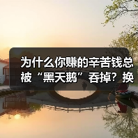 为什么你赚的辛苦钱总被“黑天鹅”吞掉?换个赛道逻辑就豁然开朗(图2) 为什么你赚的辛苦钱总被“黑天鹅”吞掉?换个赛道逻辑就豁然开朗(图2)
