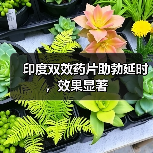 印度双效药片助勃延时,效果显著(图3) 印度双效药片助勃延时,效果显著(图3)