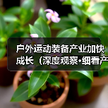 户外运动装备产业加快成长（深度观察·细看产业新亮点④）