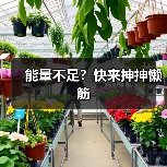 能量不足?快来抻抻懒筋(图1) 能量不足?快来抻抻懒筋(图1)