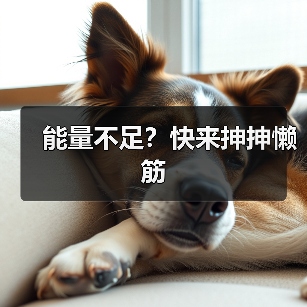 能量不足?快来抻抻懒筋(图2) 能量不足?快来抻抻懒筋(图2)