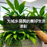 为城乡居民的美好生活添彩(图2) 为城乡居民的美好生活添彩(图2)