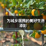 为城乡居民的美好生活添彩(图3) 为城乡居民的美好生活添彩(图3)