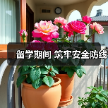 留学期间 筑牢安全防线(图4) 留学期间 筑牢安全防线(图4)