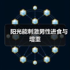 阳光能刺激男性进食与增重
