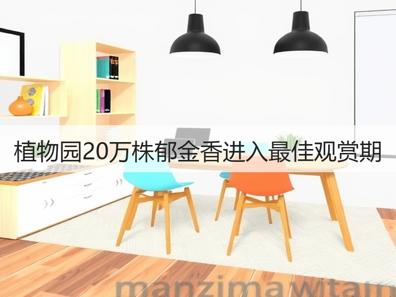 植物园20万株郁金香进入最佳观赏期