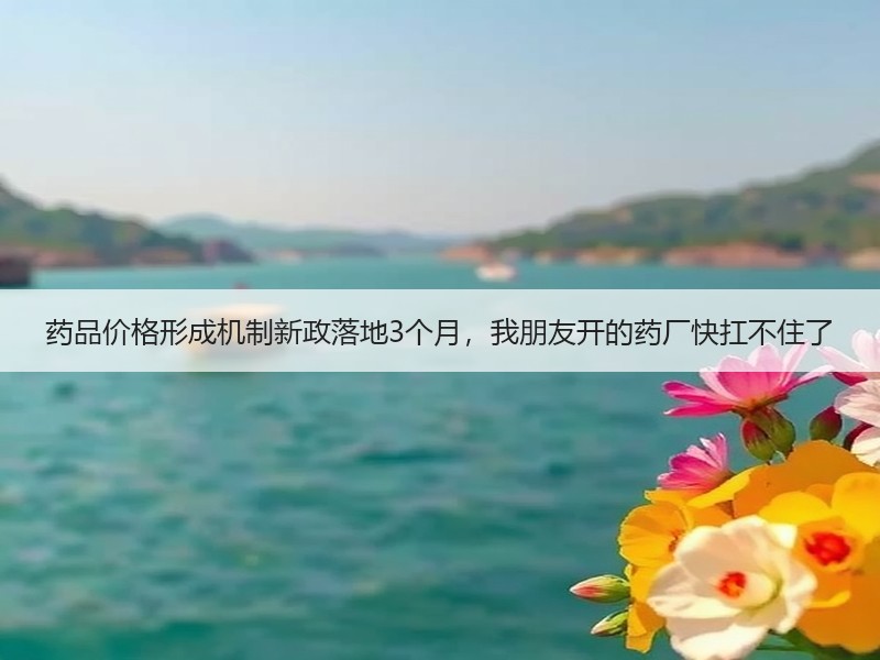 药品价格形成机制新政落地3个月，我朋友开的药厂快扛不住了