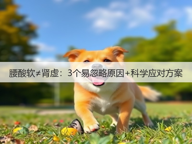腰酸软≠肾虚：3个易忽略原因+科学应对方案