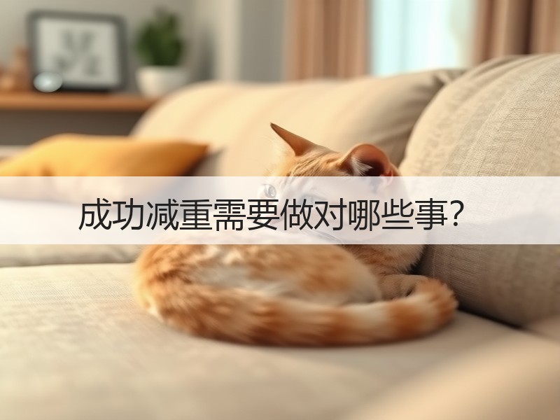 成功减重需要做对哪些事？