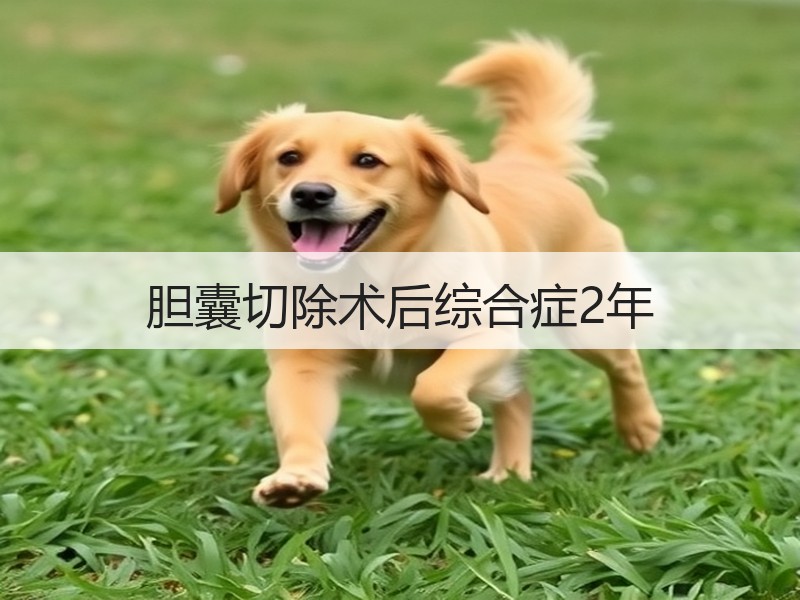 胆囊切除术后综合症2年