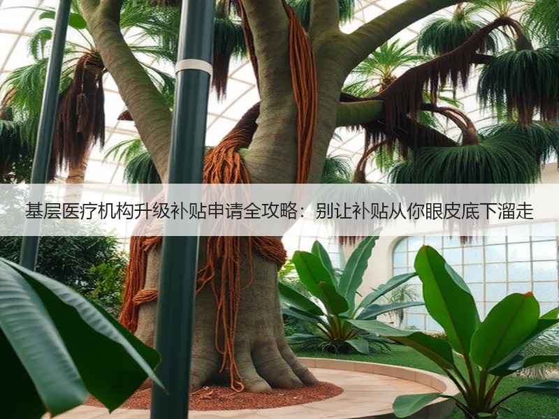 基层医疗机构升级补贴申请全攻略：别让补贴从你眼皮底下溜走