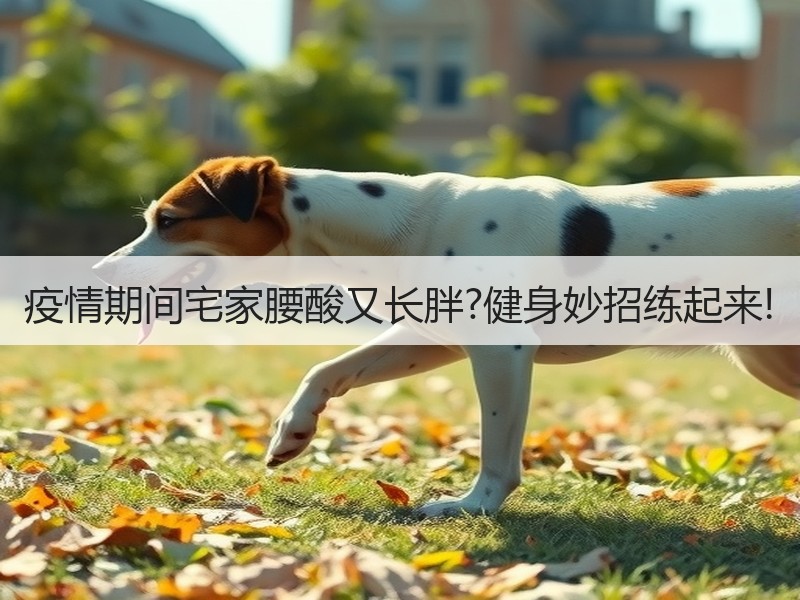 疫情期间宅家腰酸又长胖?健身妙招练起来!