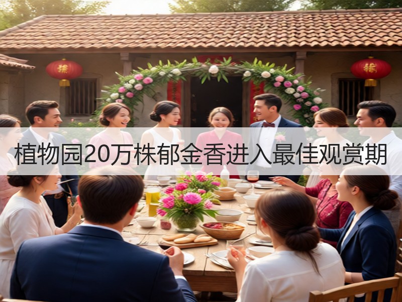 植物园20万株郁金香进入最佳观赏期