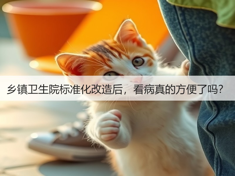 乡镇卫生院标准化改造后，看病真的方便了吗？