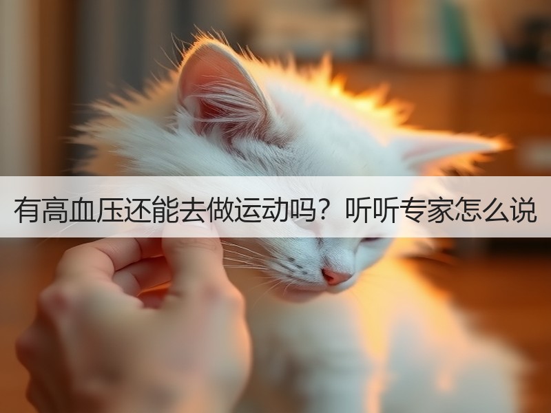 有高血压还能去做运动吗？听听专家怎么说