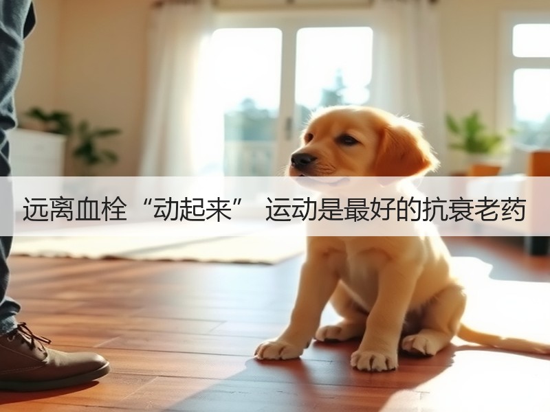 远离血栓“动起来” 运动是最好的抗衰老药