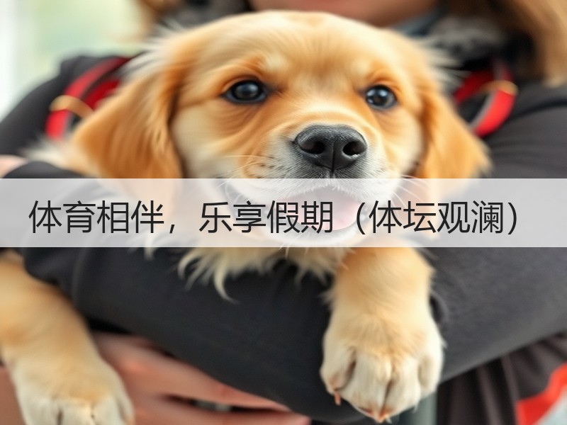 体育相伴，乐享假期（体坛观澜）